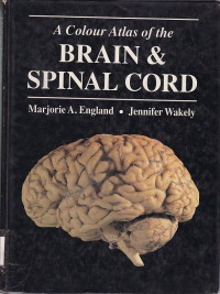 Image of A colour atlas of the brain & spinal cord :an introduction to normal neuroanatomy