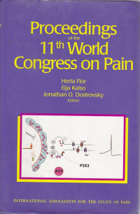 Image of Proceedings  11th othe World Congress on Pain