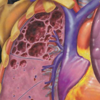Image of Diagnostic Imaging